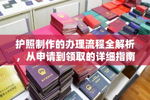 鼎湖护照制作的办理流程全解析，从申请到领取的详细指南